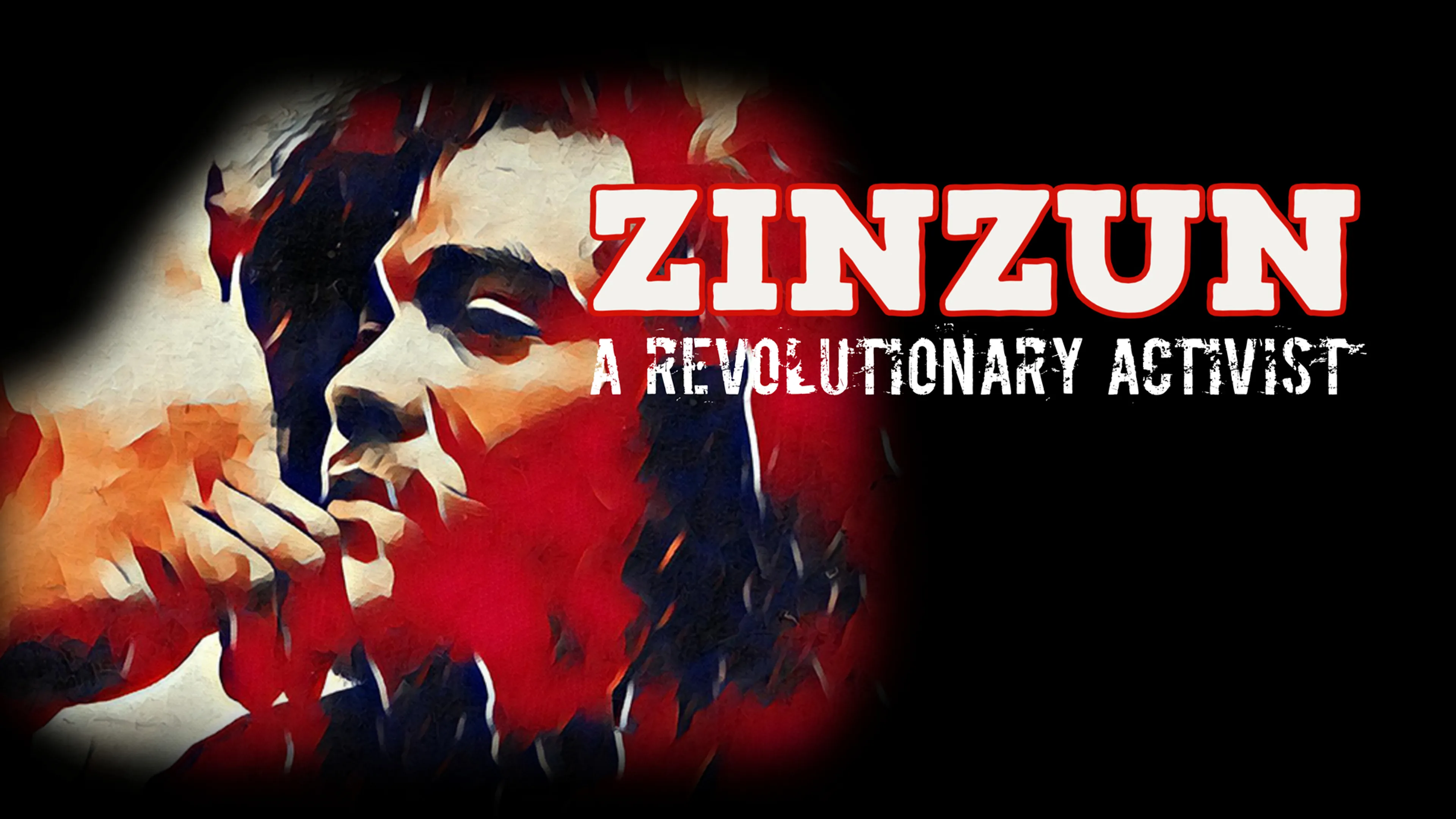 Zinzun: A Revolutionary Activist poster